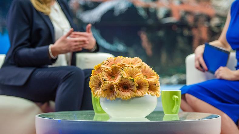 采访国家元首?我们和“西兰公国”国王夫妇聊了聊